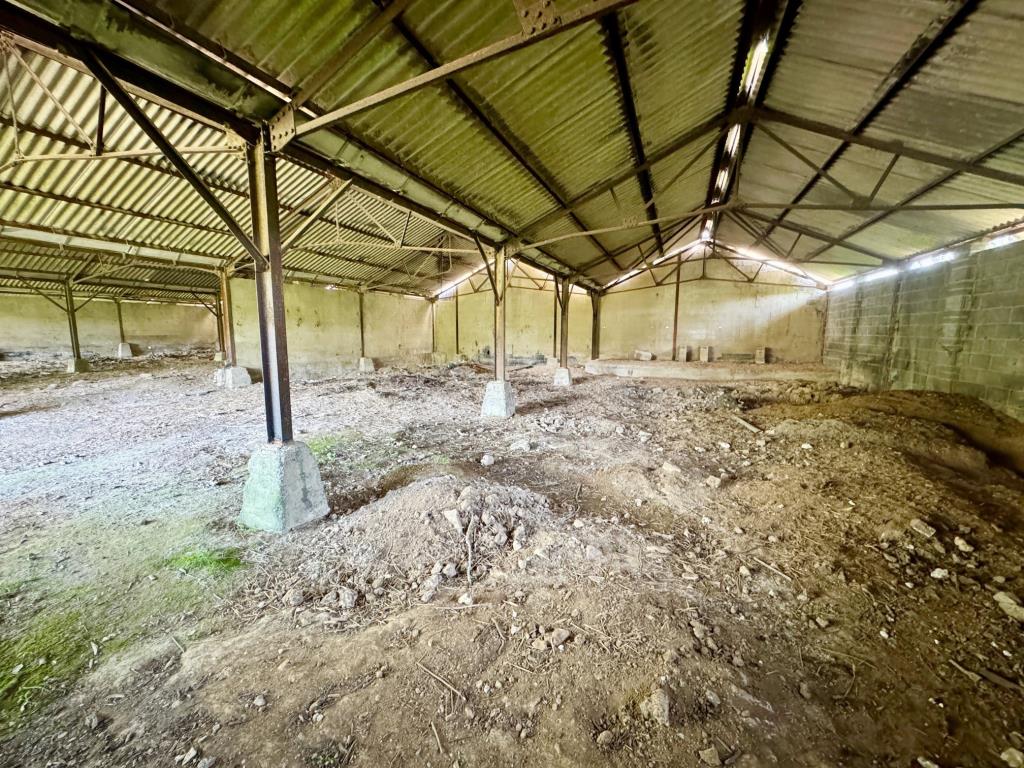 Lot: 107 - CATTLE AND OPEN BAY HAY BARNS WITH POTENTIAL - Internal view of attached barns 1